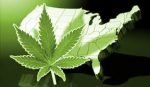 Fitzgerald and Gallagher vote no to medical marijuana research act