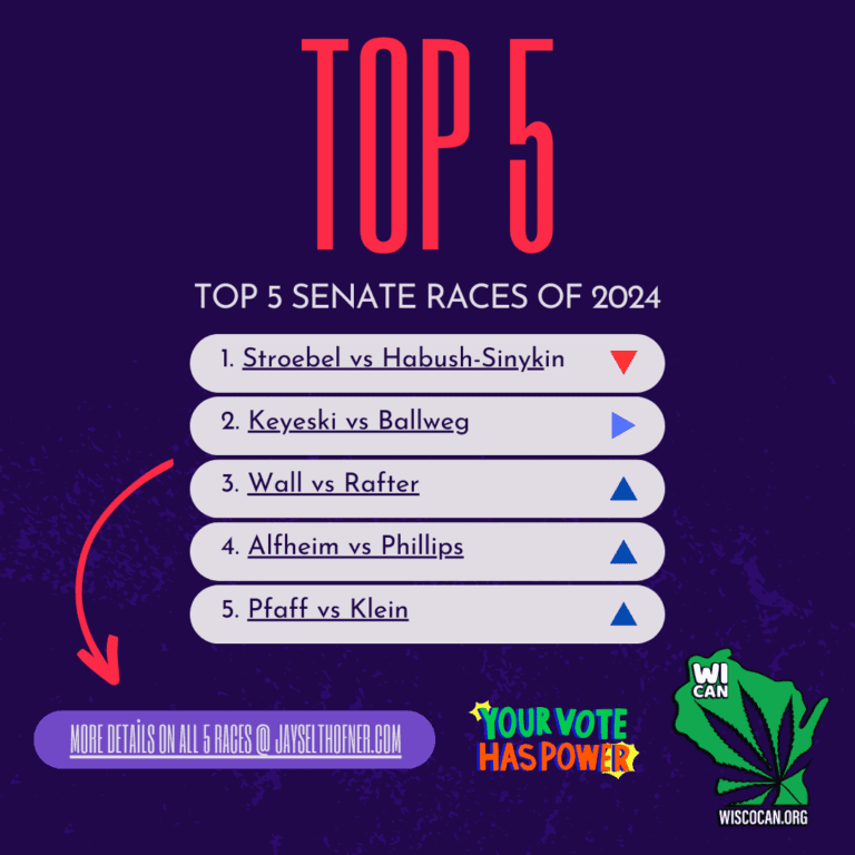 top 5 competitive senate races in wisconsin for 2024